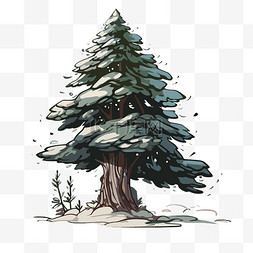 卡通一棵松树图片_冬天的松树 向量