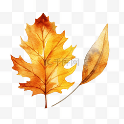 手绘秋天的树叶图片_秋天的树叶水彩