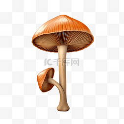 感恩节对象蘑菇 3d 插图