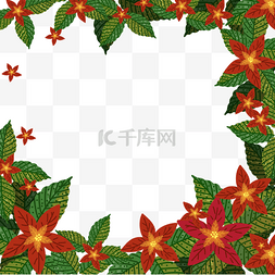 圣诞节植物卡通一品红边框装饰