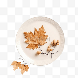 套餐图片_装饰餐桌的顶部视图，带有落叶感