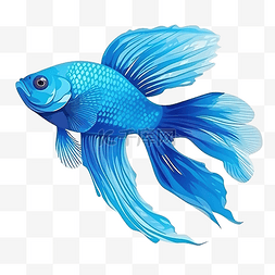 魚設計图片_蓝色的鱼海洋生物动物