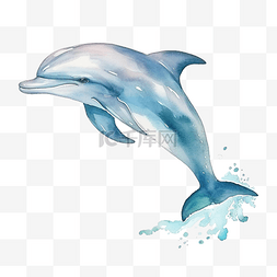 海豚水彩剪贴画卡通