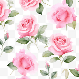 粉色英国玫瑰水彩花卉图案