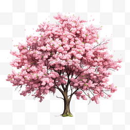 春天开花的树诠释了大自然的魔力