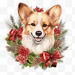 手绘柯基犬图片_圣诞花环装饰和柯基犬手绘