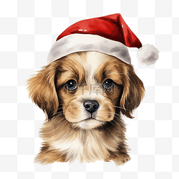 水彩圣诞小狗戴帽子手绘插画可爱