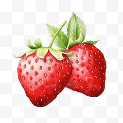 手图片_水彩草莓水果