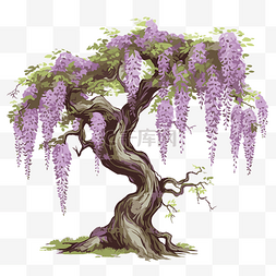 紫藤剪贴画树与美丽的紫色花朵卡
