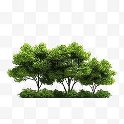草地上树木前视图的 3ds 渲染图像