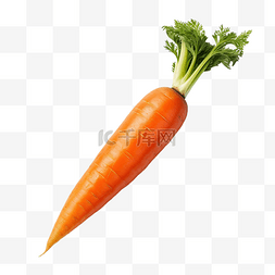 单个新鲜橙色胡萝卜蔬菜，以 png 