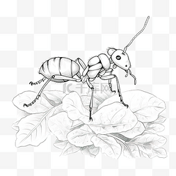 动植物图片_蚂蚁卡通铅笔画风格花园里的动植