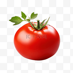 番茄PNG免费下载3D番茄图片