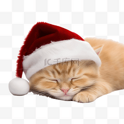 圣诞小姜小猫甜蜜地睡在柔软舒适