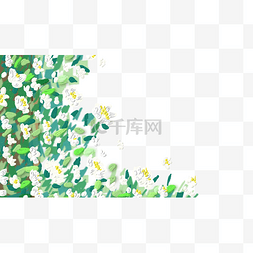 油画花卉边框横图白色花朵