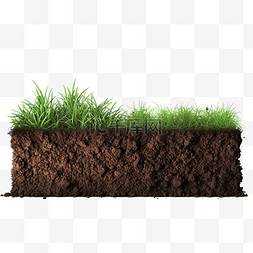 3d 渲染土壤和一些孤立的草