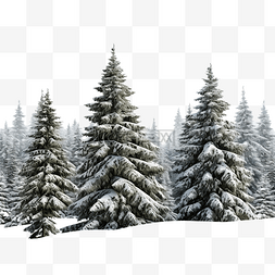 美丽惊人的圣诞冬季山景