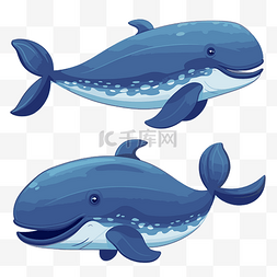 蓝鲸图片_蓝鲸剪贴画 两条蓝鲸被隔离在白