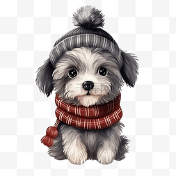 给予图片_圣诞节那天穿着毛衣的可爱涂鸦狗