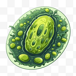 空气细胞或蓝细菌的叶绿体剪贴画
