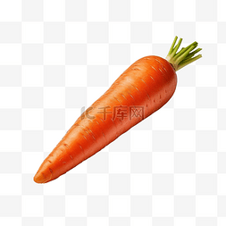 格式文件图片_单个新鲜橙色胡萝卜蔬菜，以 png 