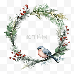 冬季树枝图片_框架与冷杉树枝植物和鸟类圣诞装