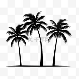 棕櫚樹图片_棕榈树剪影