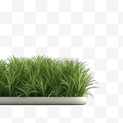 3D 渲染绿色野草场的模型图像