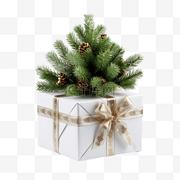 圣诞节松树枝图片_松树枝间装饰盒中的圣诞礼物白色