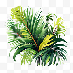 绿植热带芭蕉叶雨林植物免抠元素
