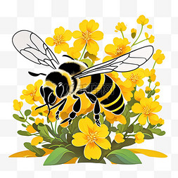 采蜜蜜蜂图片_卡通蜜蜂采蜜油菜花图片