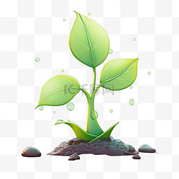 植物嫩芽图片_3D植物嫩芽装饰素材