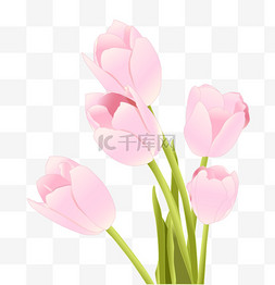 春季植物手绘图片_春季春天女神节花朵郁金香卡通手