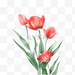 手绘红色白色花朵图片_免抠元素春天花朵郁金香手绘