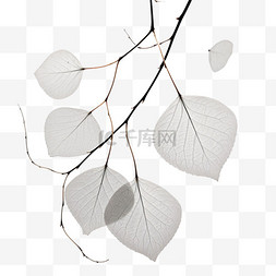 树叶图片_灰白树叶元素立体免抠图案