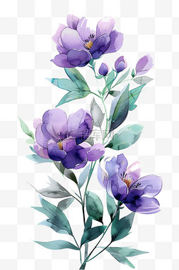 紫色花春天花朵免抠手绘元素