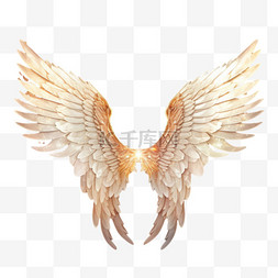 天使翅膀图片_天使翅膀元素立体免抠图案