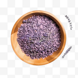 紫罗兰木图片_紫罗兰木盆元素立体免抠图案