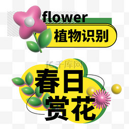 立体膨胀风花朵春天潮流标题文字