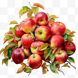 水果苹果图片_苹果水果元素立体免抠图案