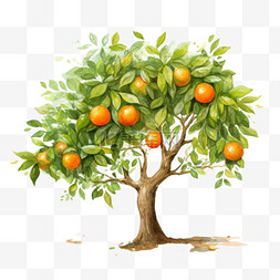 茂盛橘树元素立体免抠图案