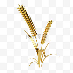 图片_芒种麦穗小麦装饰元素3D金色小麦