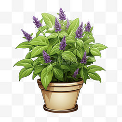 紫罗兰盆栽元素立体免抠图案