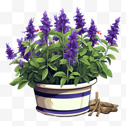 紫罗兰盆栽元素立体免抠图案