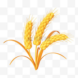 C4D立体金色麦子小麦免抠元素