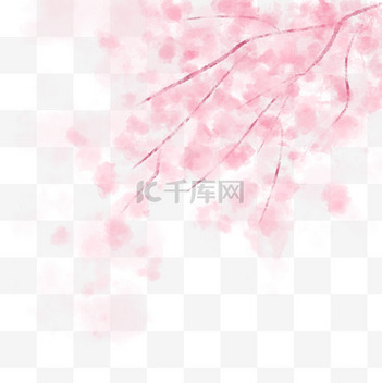 樱花视频