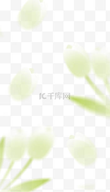 春天素材新图速递