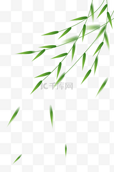 动态感飘落柳叶png图片