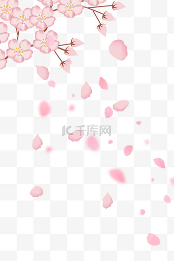 武汉樱花