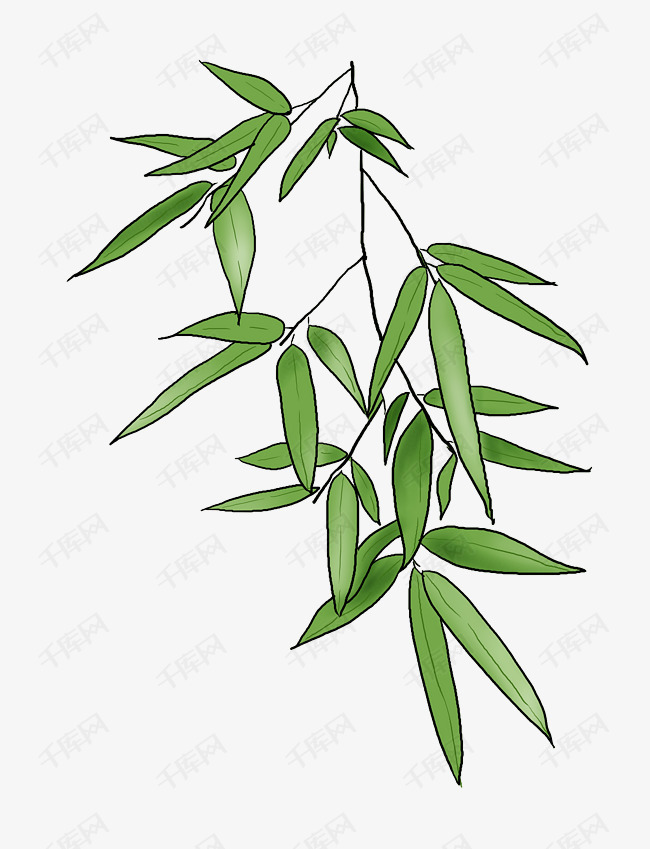 手绘一只绿色的竹叶